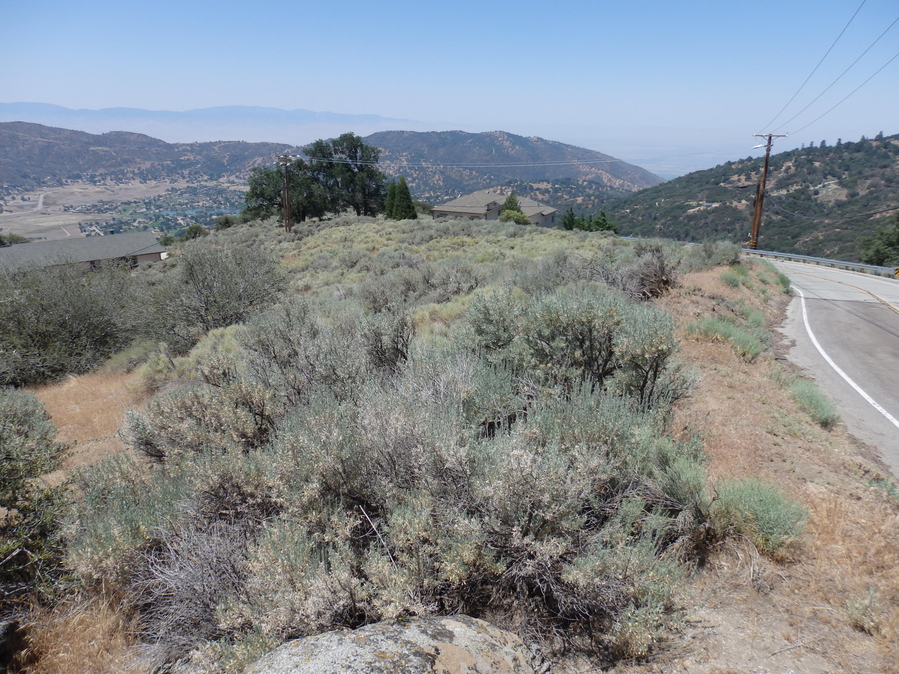 25170 Paramount Drive Tehachapi, CA 93561 - Photo 5 of 20 a view of a forest with mountains in the background