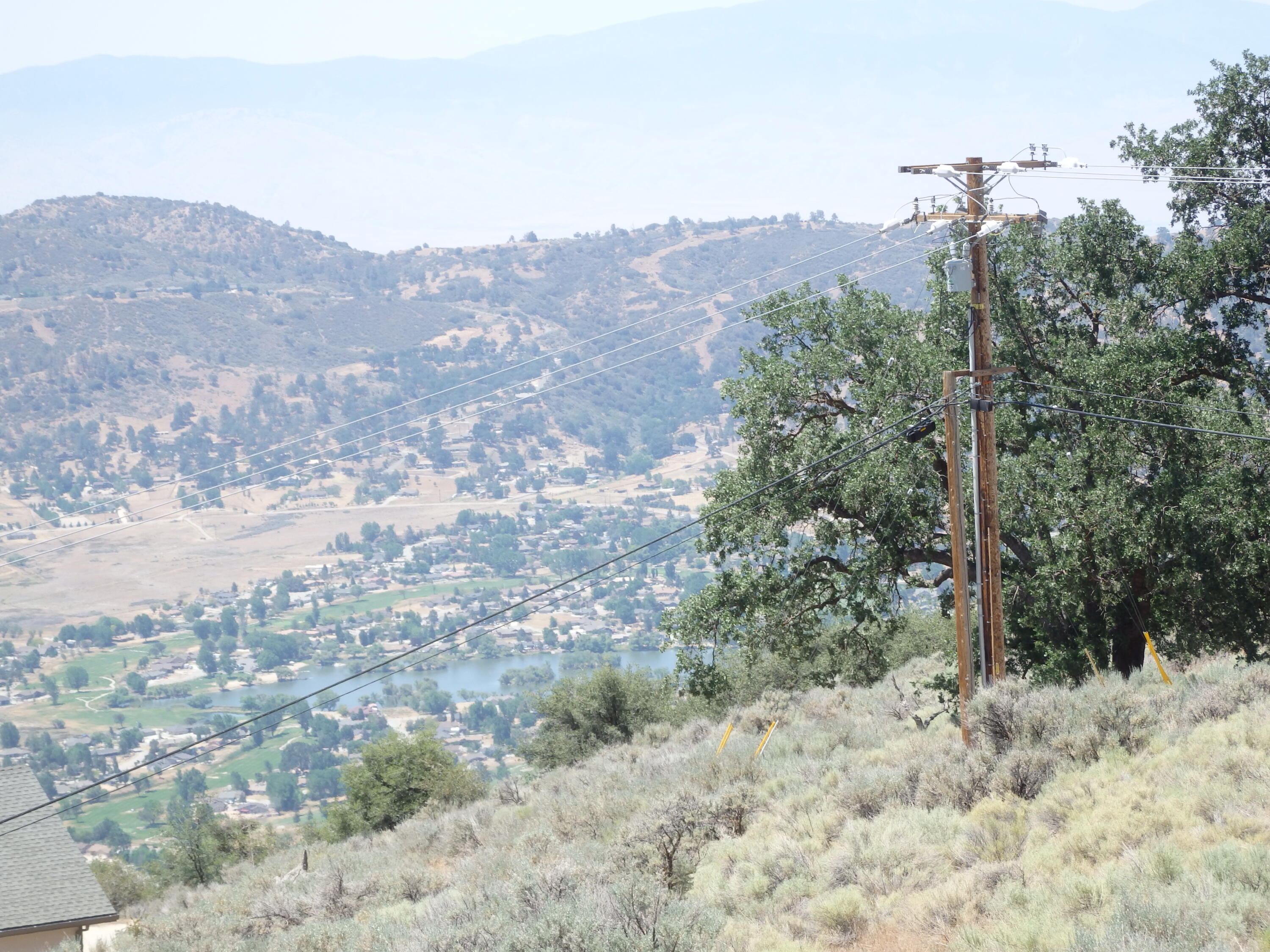 25170 Paramount Drive Tehachapi, CA 93561 - Photo 8 of 20 a view of a forest with a mountain in the background
