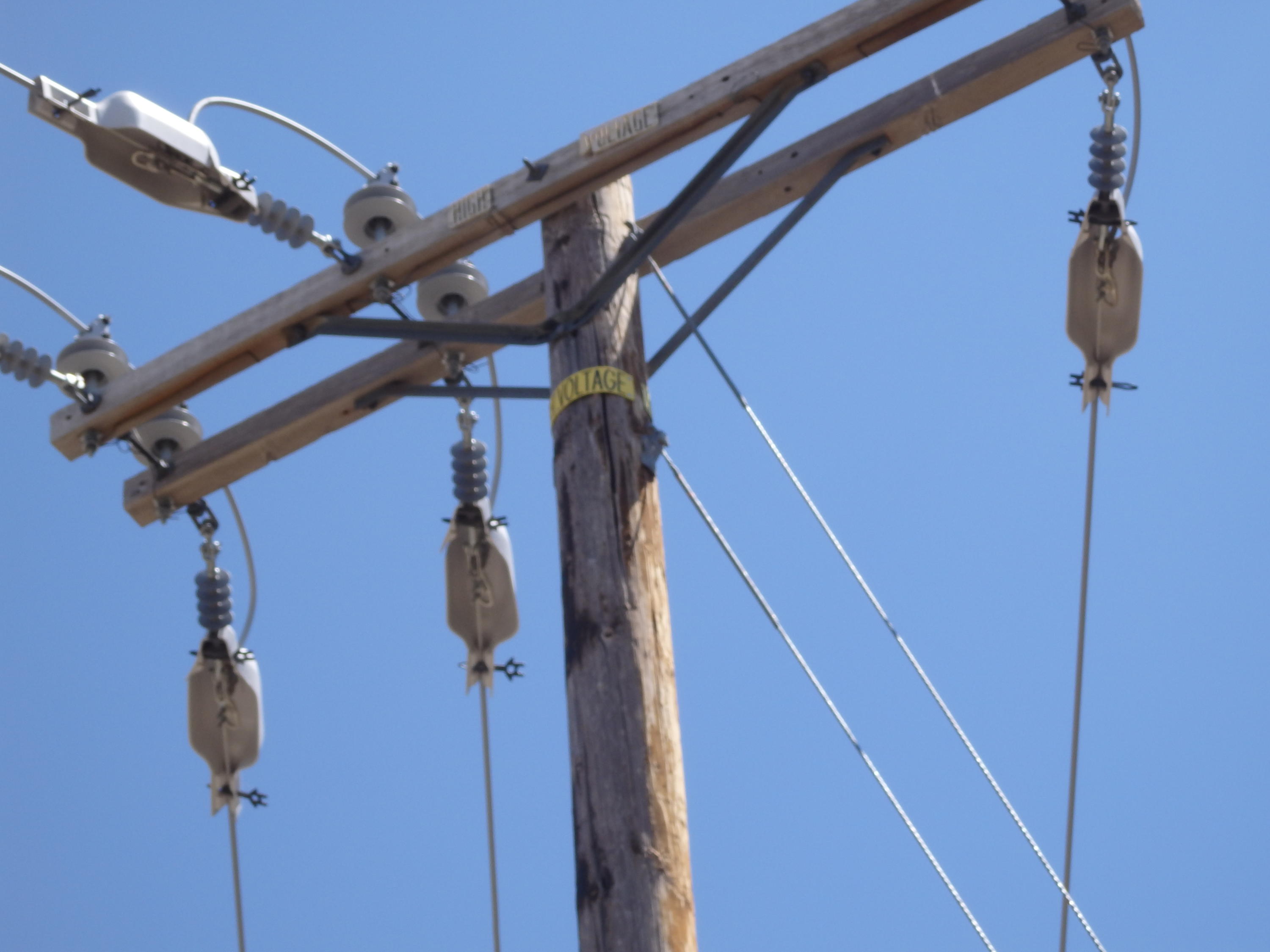 25170 Paramount Drive Tehachapi, CA 93561 - Photo 9 of 20 a view of walk in closet with clothes and shoes