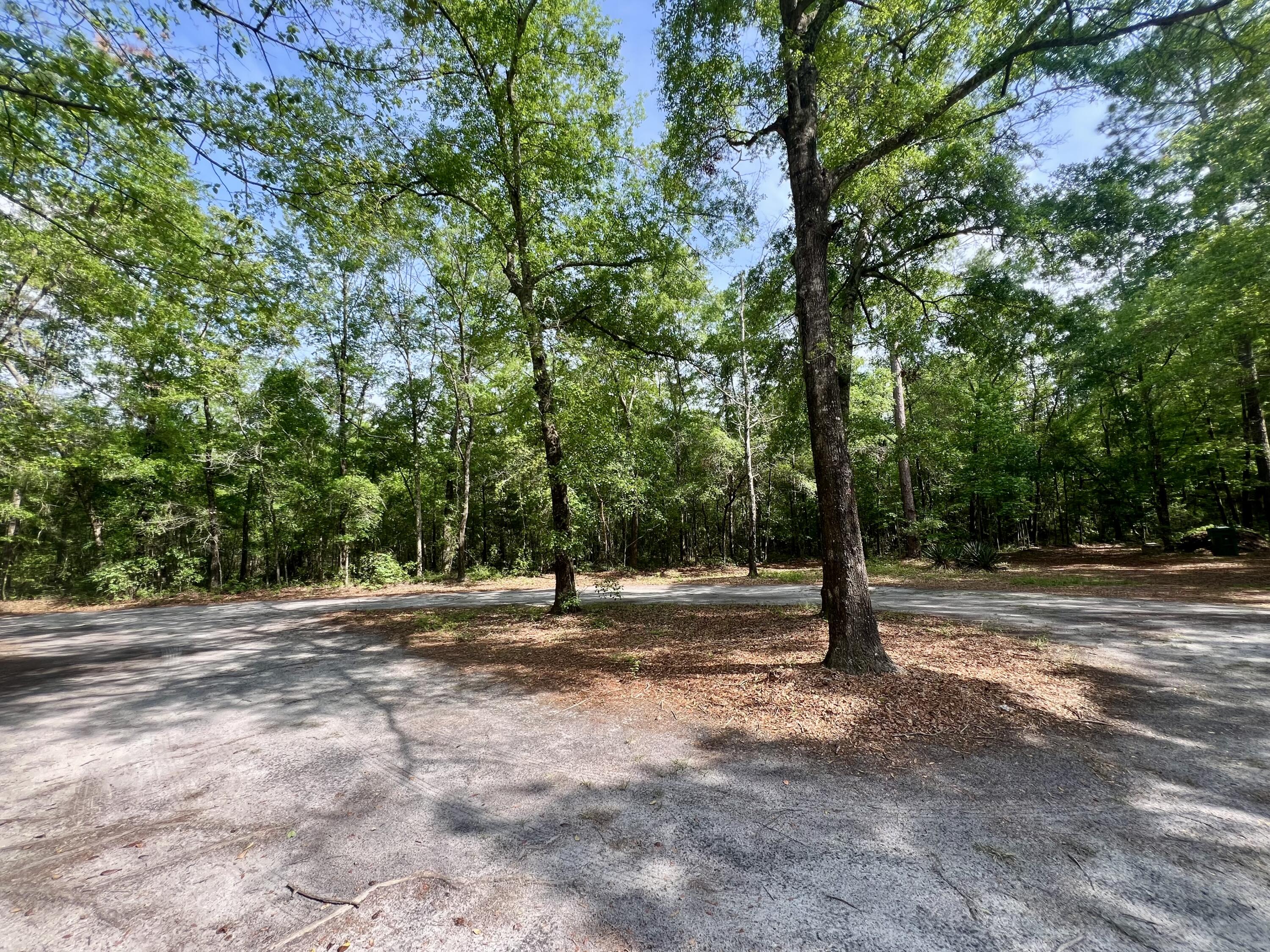 1957 Beach Road Walterboro, SC 29488 - Photo 39 of 42 IMG_4571