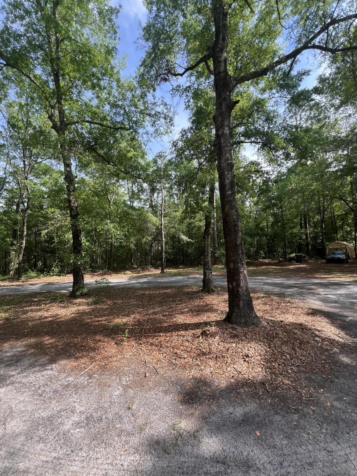 1957 Beach Road Walterboro, SC 29488 - Photo 40 of 42 IMG_4569