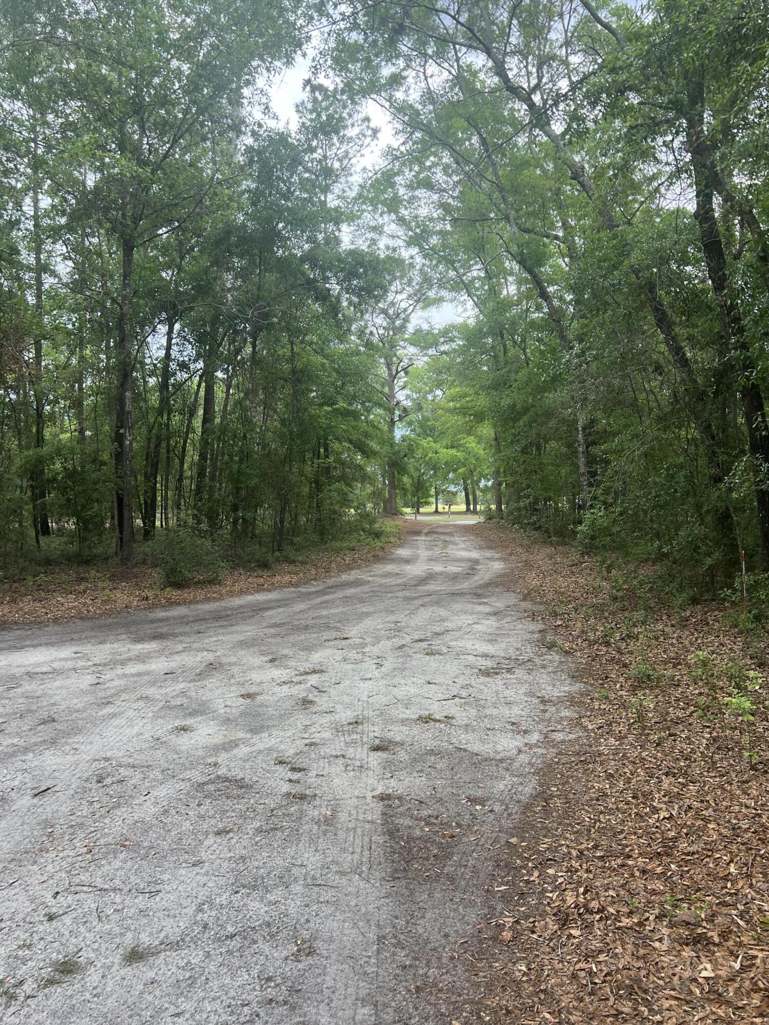 1957 Beach Road Walterboro, SC 29488 - Photo 41 of 42 IMG_4502