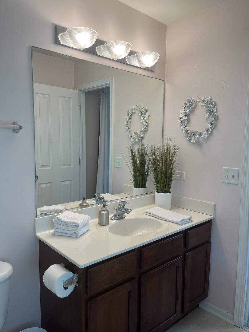 12922 Grande Poplar Circle Plainfield, IL 60585 - Photo 28 of 47 a bathroom with a sink a mirror and a painting on the wall