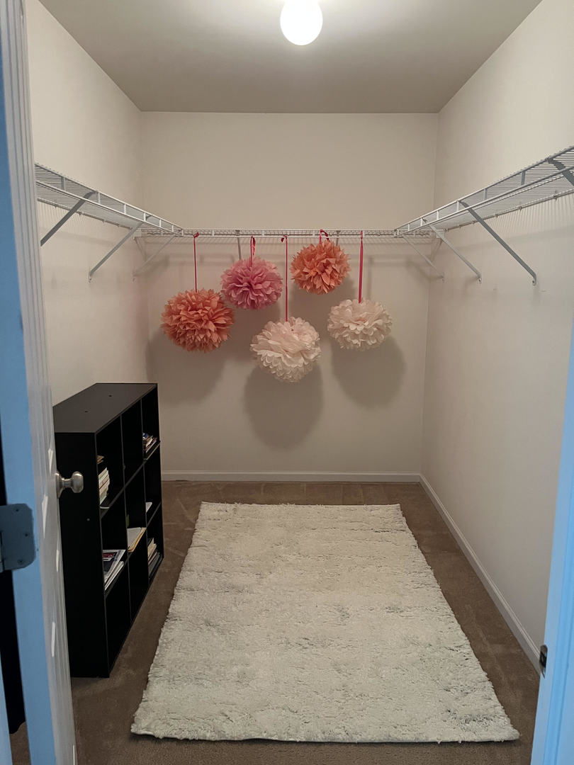 12922 Grande Poplar Circle Plainfield, IL 60585 - Photo 29 of 47