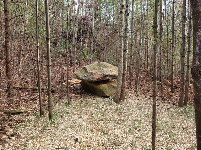 a view of a backyard of the house