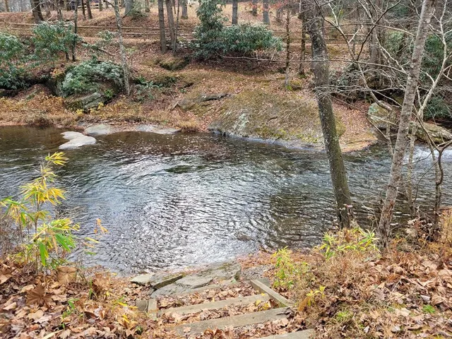 a view of a yard with plants