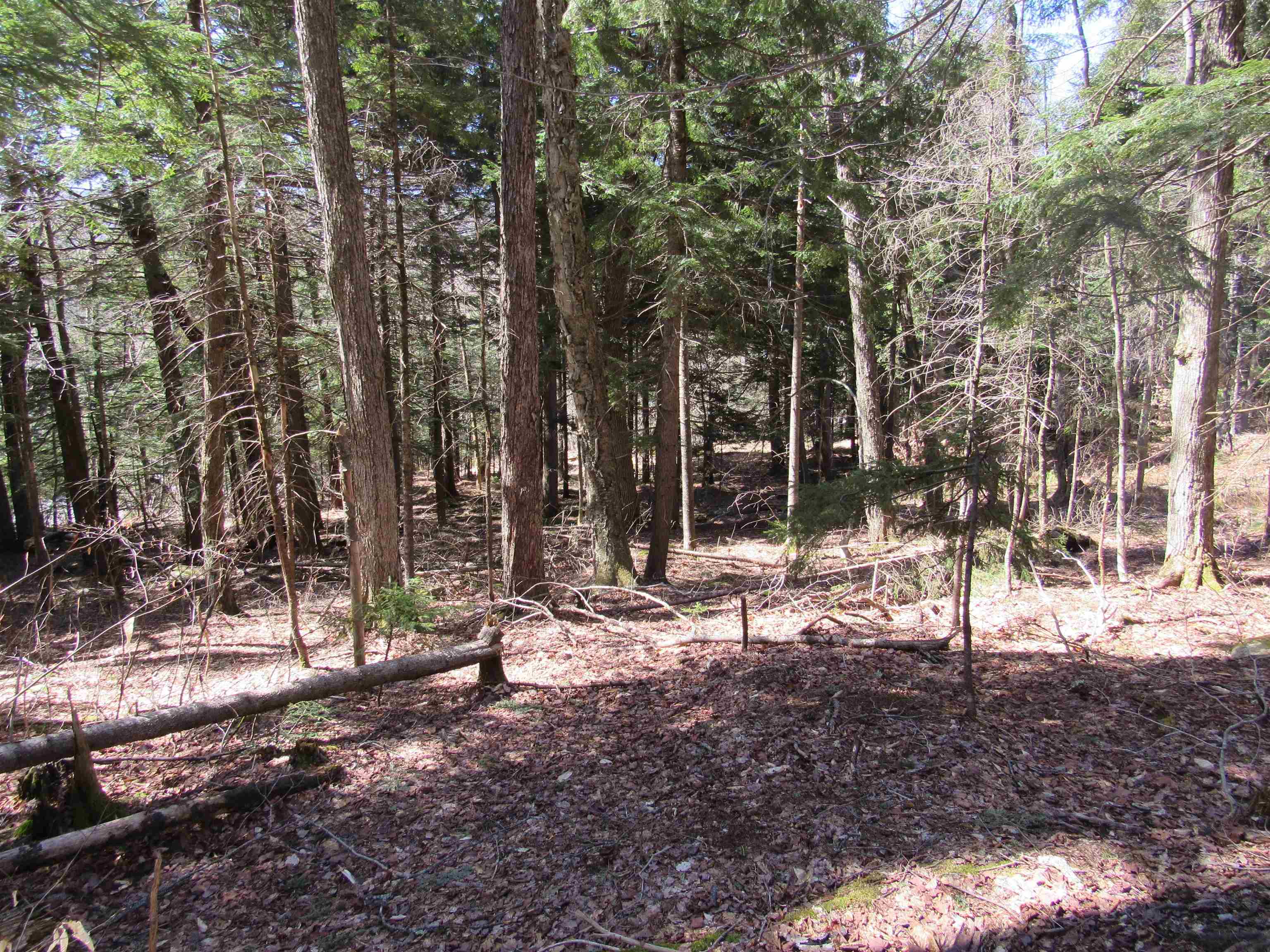 0 Stratton View Road, Unit 6263 Winhall, VT 05340 - Photo 3 of 13