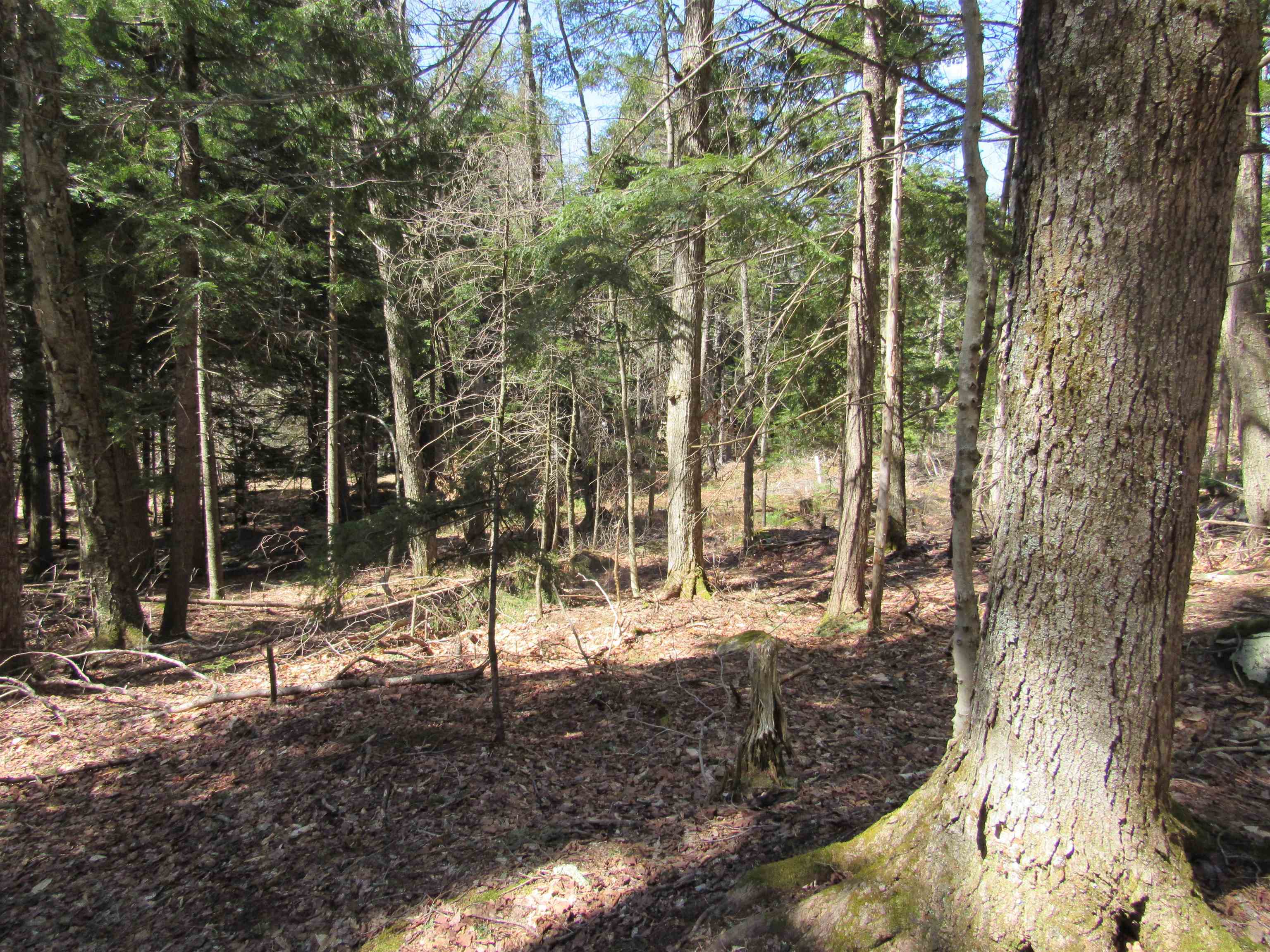 0 Stratton View Road, Unit 6263 Winhall, VT 05340 - Photo 4 of 13