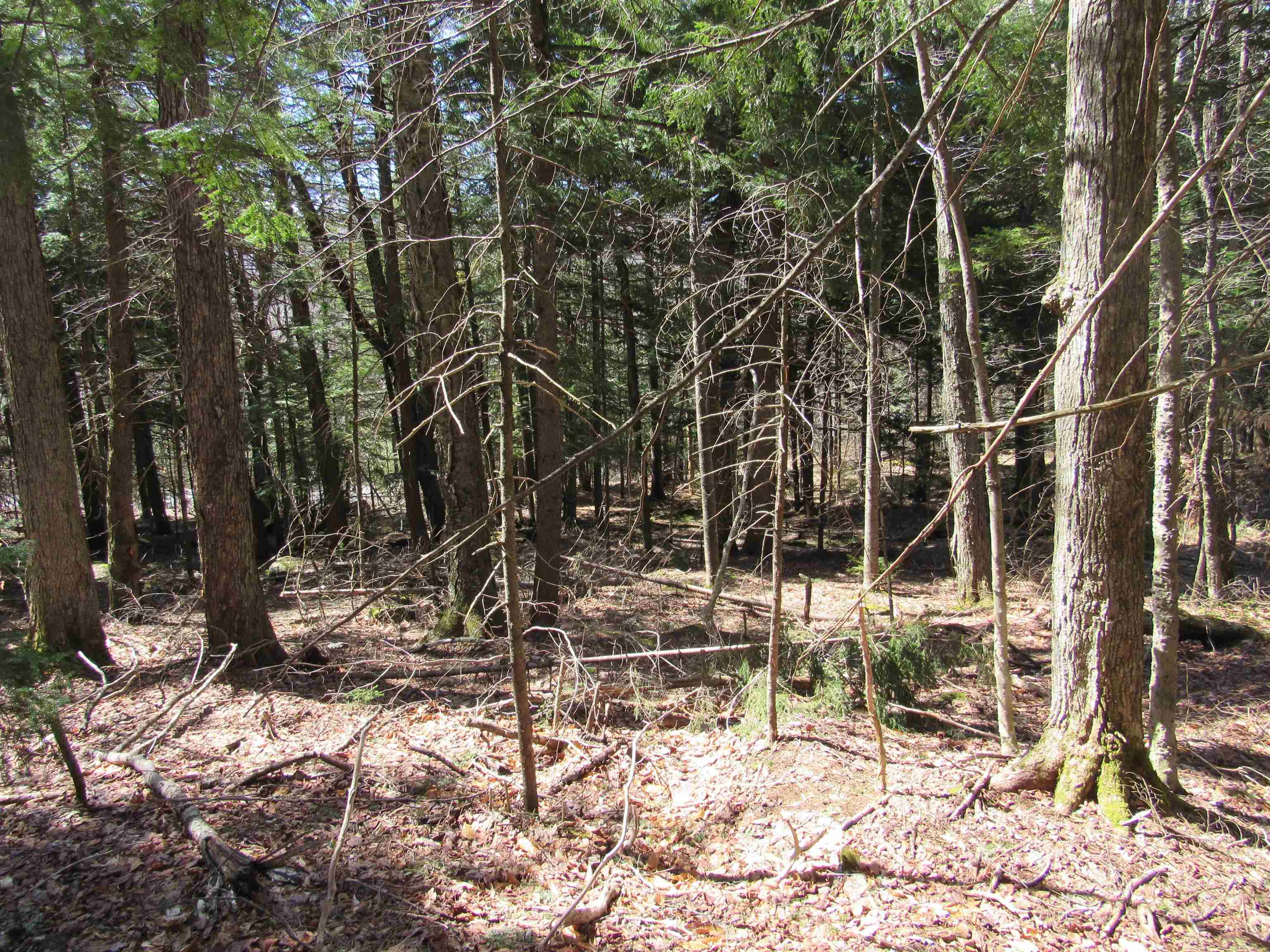 0 Stratton View Road, Unit 6263 Winhall, VT 05340 - Photo 5 of 13