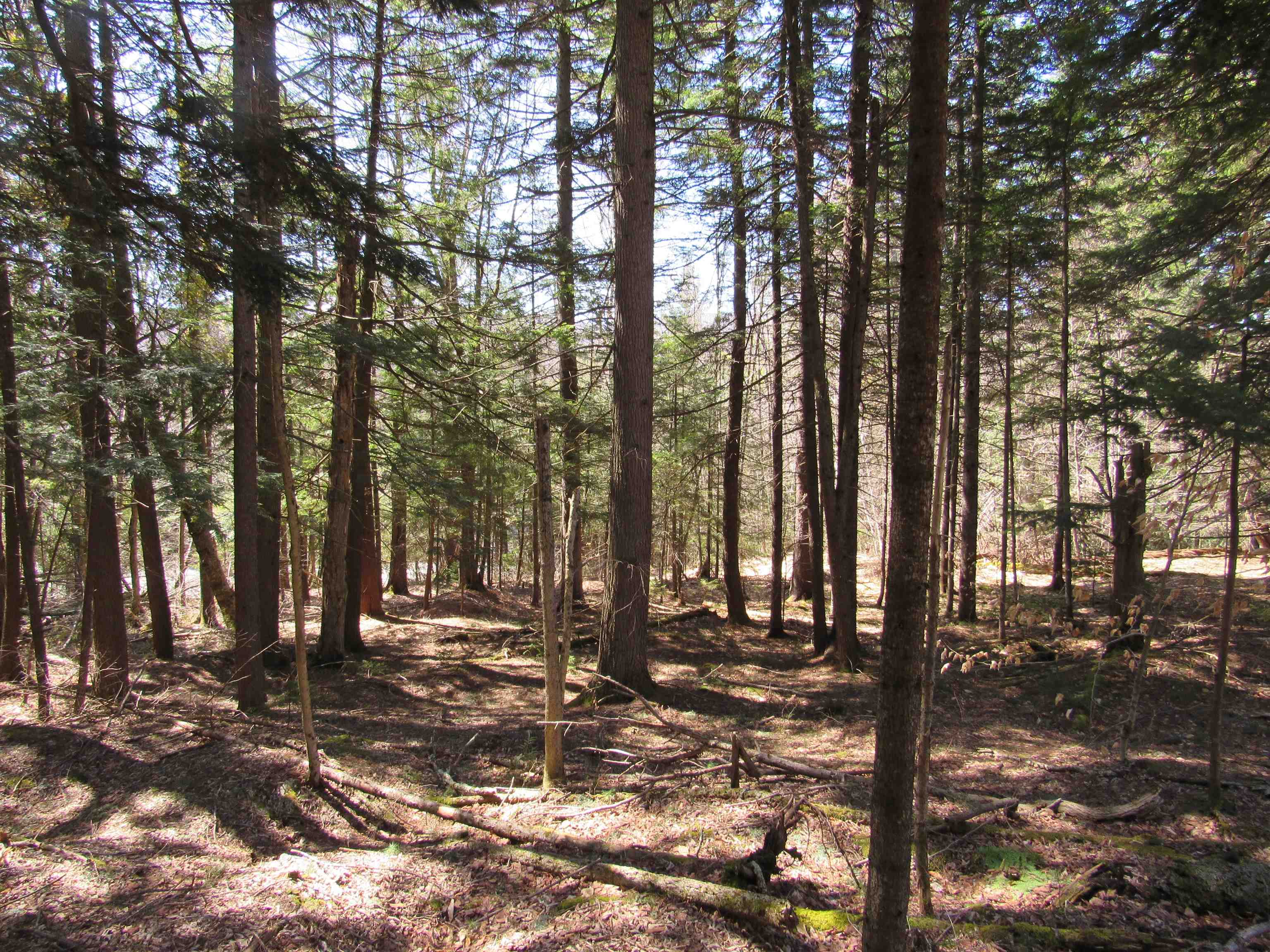 0 Stratton View Road, Unit 6263 Winhall, VT 05340 - Photo 7 of 13