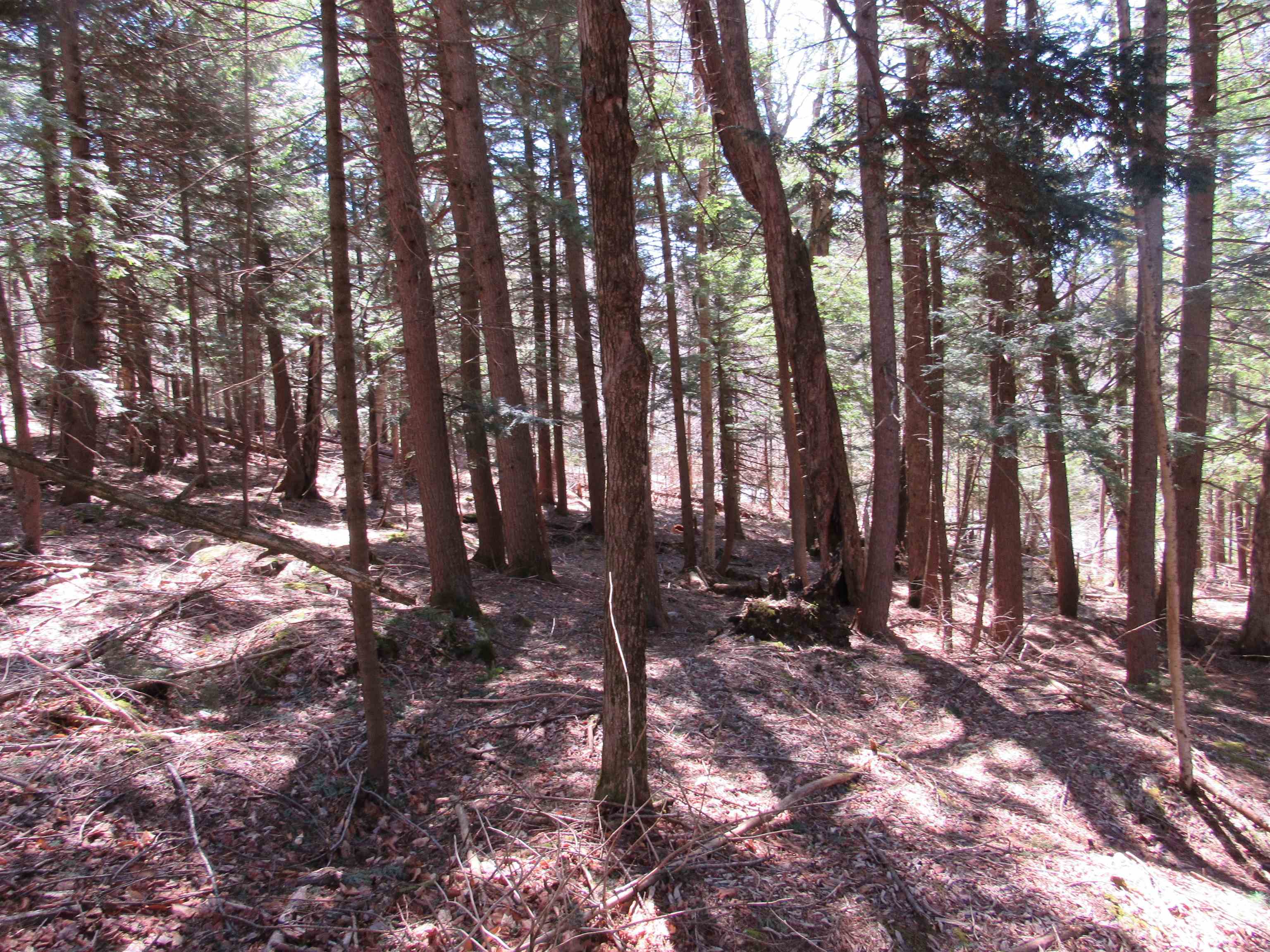 0 Stratton View Road, Unit 6263 Winhall, VT 05340 - Photo 8 of 13