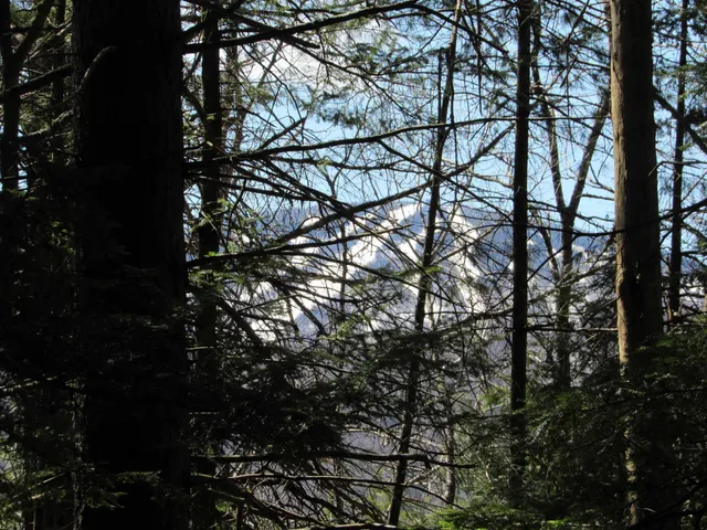 $135,000 | 0 Stratton View Road, Unit 6263, Winhall, VT 05340