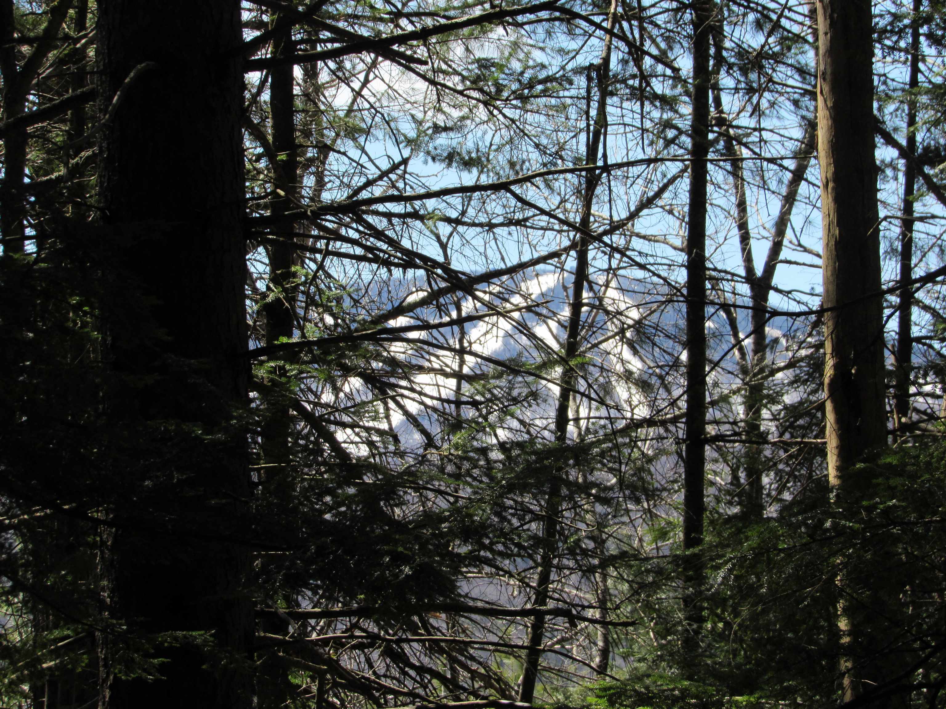 0 Stratton View Road, Unit 6263 Winhall, VT 05340 - Photo 9 of 13