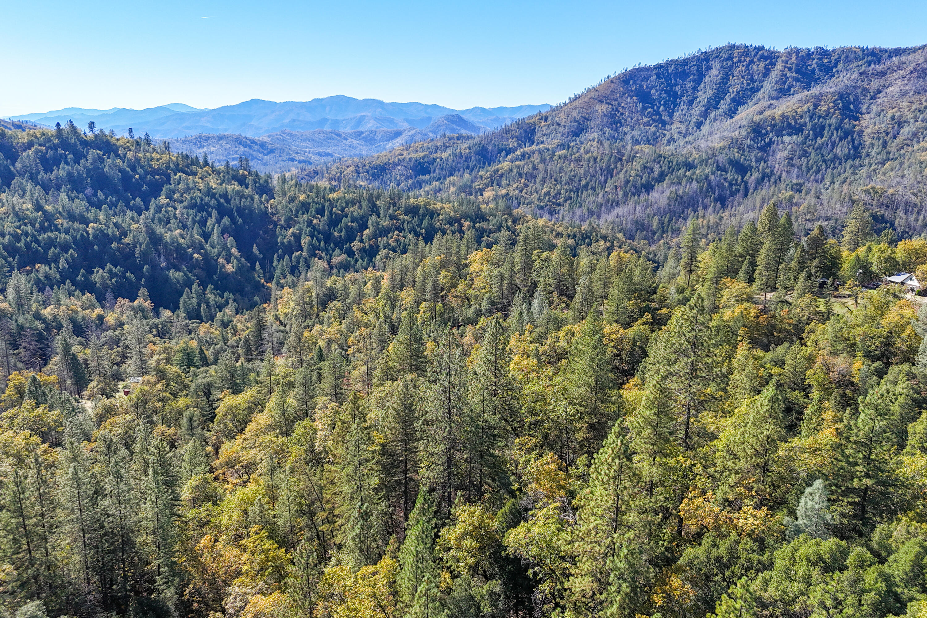 20389 Our Road Lakehead, CA 96051 - Photo 81 of 92 a view of a lush green forest with mountains in the background