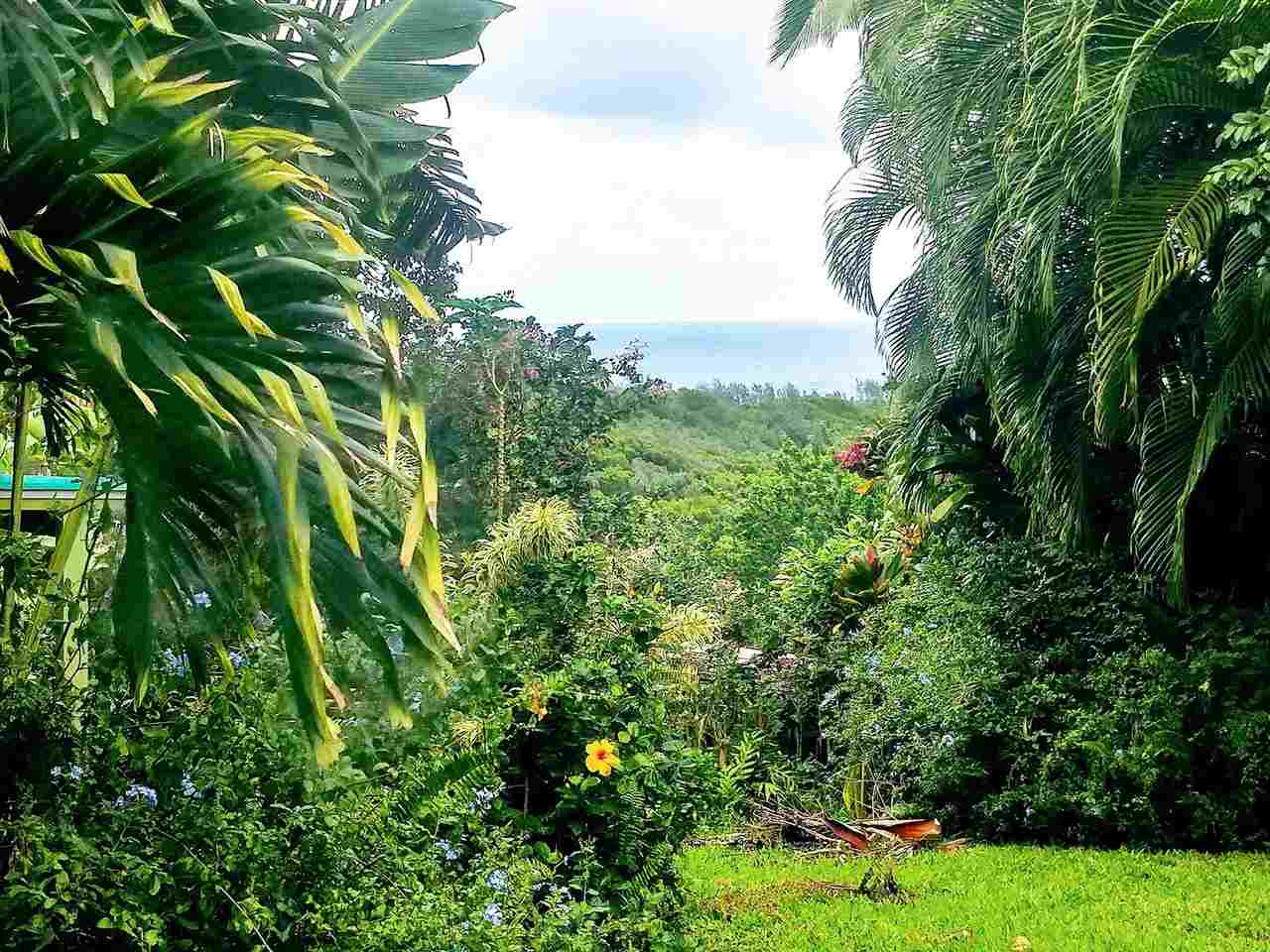 501 Kulike Road Haiku, HI 96708 - Photo 1 of 2 a view of a garden with a tree