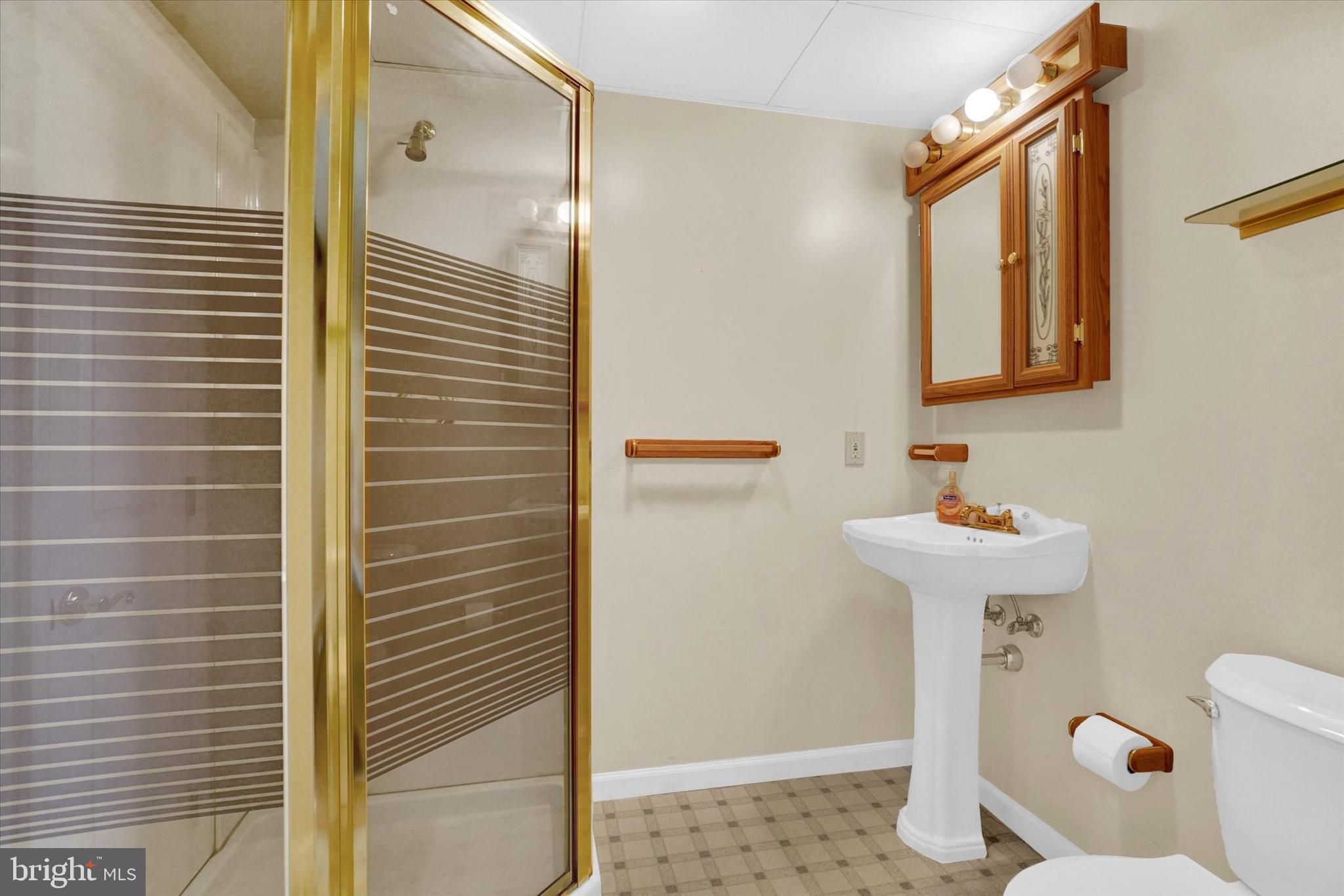 243 Bald Eagle Road Fawn Grove, PA 17321 - Photo 26 of 44 a bathroom with a sink a toilet and shower