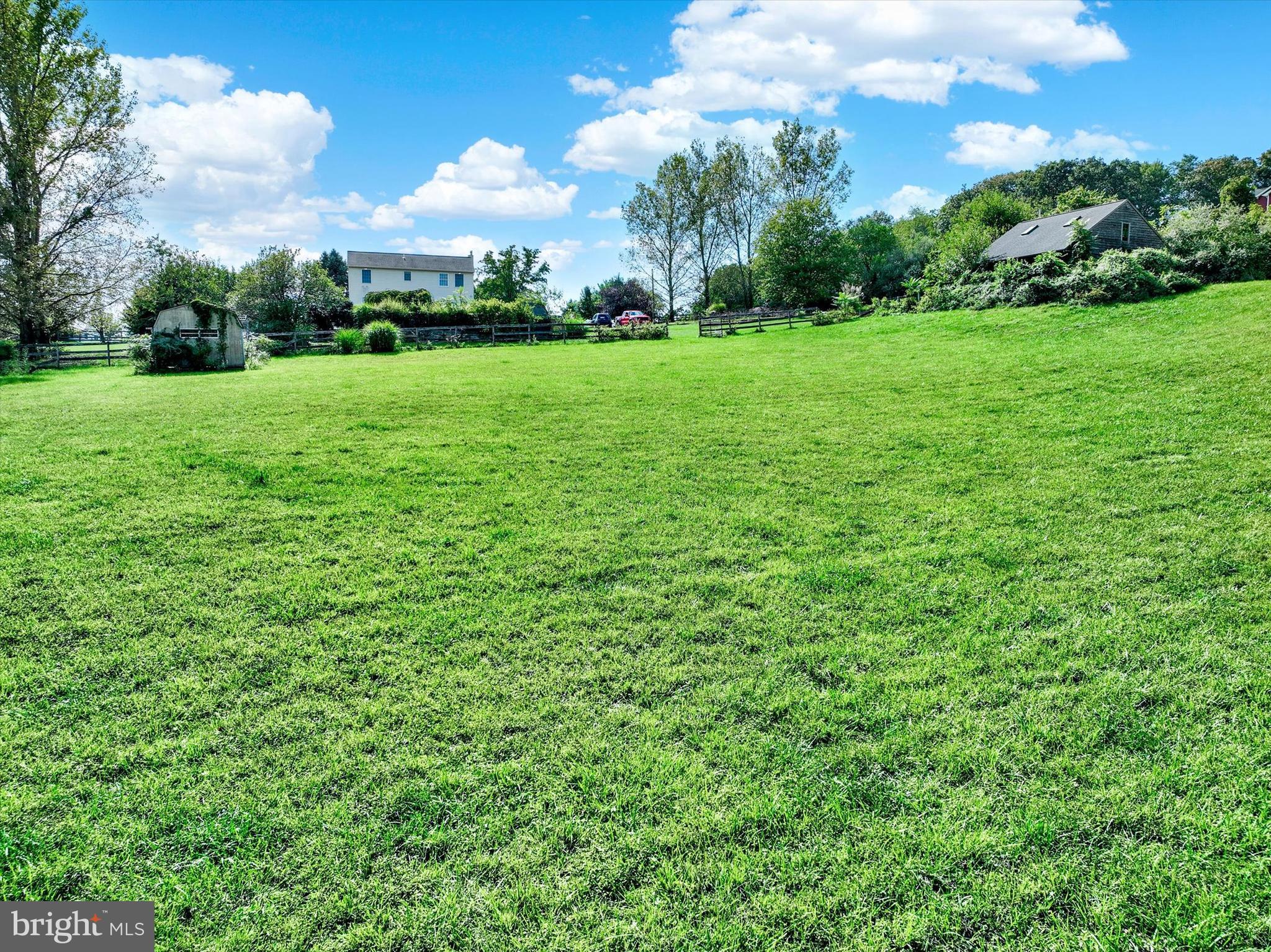 243 Bald Eagle Road Fawn Grove, PA 17321 - Photo 42 of 44 a view of a big yard with plants and large trees