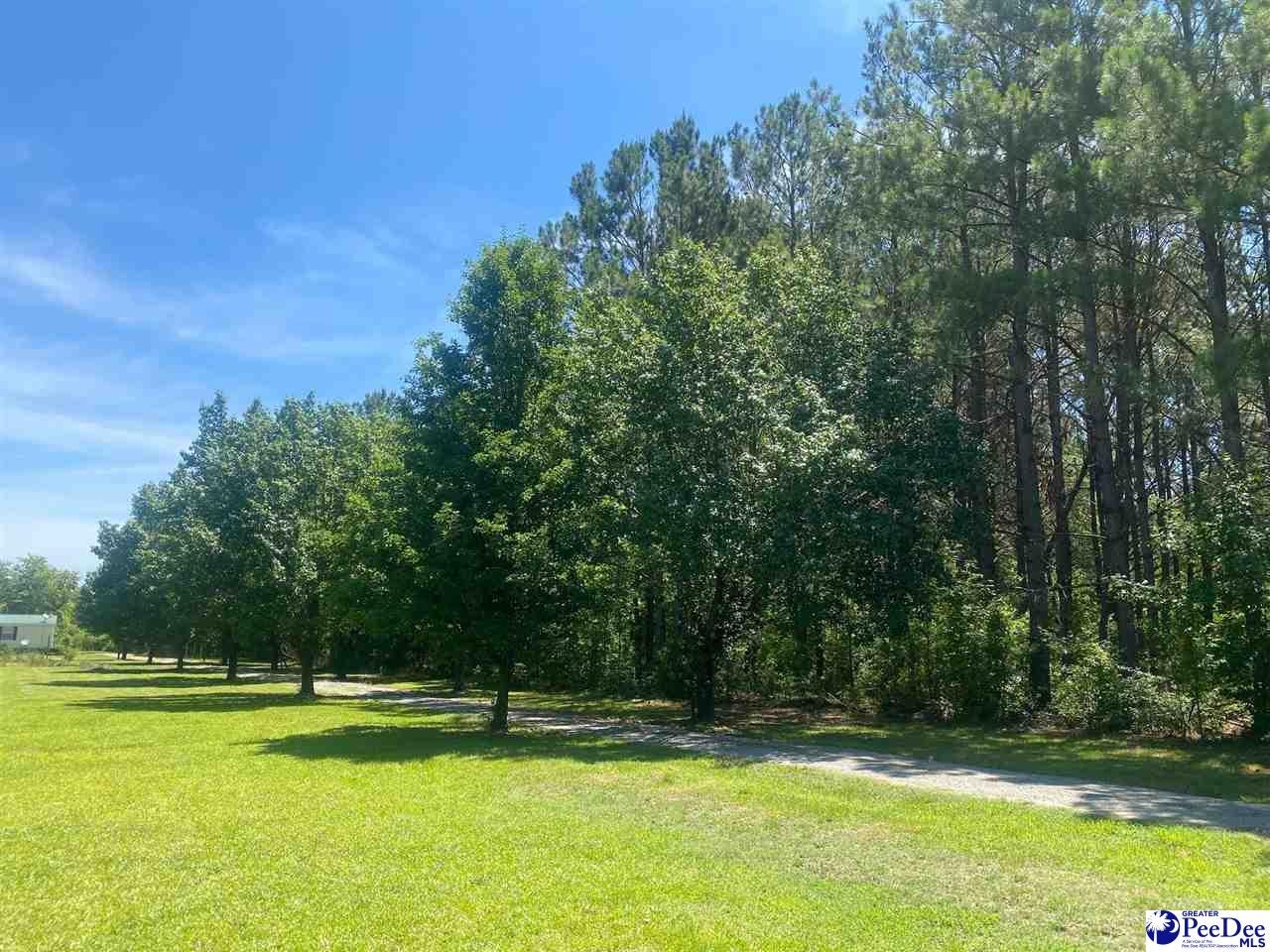 Tbd Jeffords Road Lamar, SC 29069 - Photo 1 of 1 Gallery Image 1