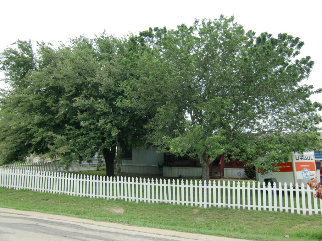 133 Quail Ridge Drive Kyle, TX 78640 - Photo 1 of 1 Gallery Image 1