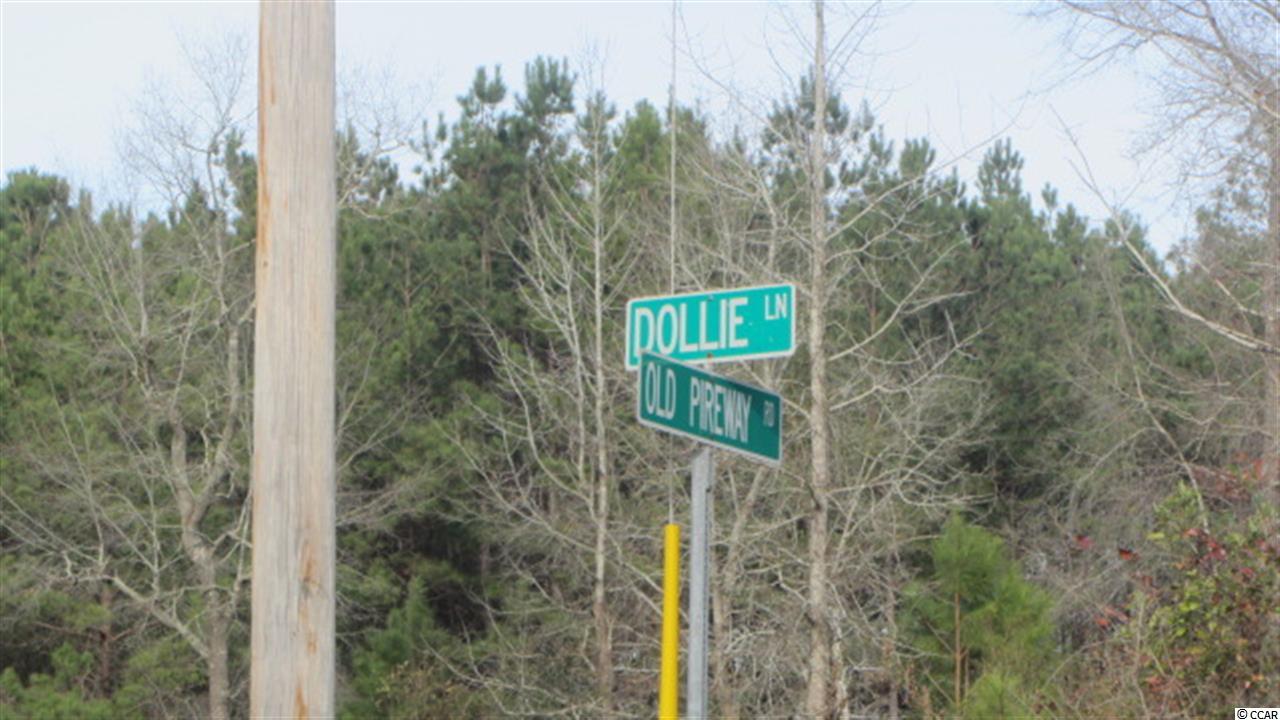 19 Old Pireway Road Conway, SC 29526 - Photo 2 of 4
