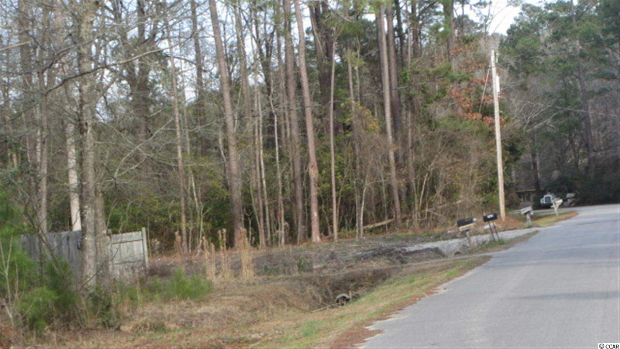 19 Old Pireway Road Conway, SC 29526 - Photo 3 of 4