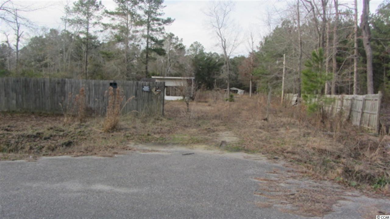19 Old Pireway Road Conway, SC 29526 - Photo 4 of 4