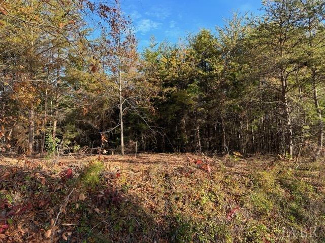 2 C Liberty Chapel Road Appomattox, VA 24522 - Photo 1 of 2 Gallery Image 1