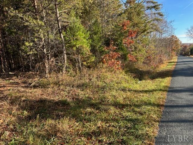 2 C Liberty Chapel Road Appomattox, VA 24522 - Photo 2 of 2 Gallery Image 2