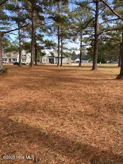 1012 Crosby Circle Southwest Sunset Beach, NC 28468 - Photo 3 of 7 1012 Crosby Circle view from back of the lot looking toward the street.