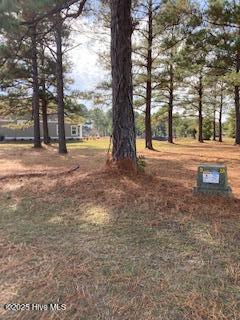 1012 Crosby Circle Southwest Sunset Beach, NC 28468 - Photo 4 of 7 1012 Crosby Circle is located to the left of the utility box.