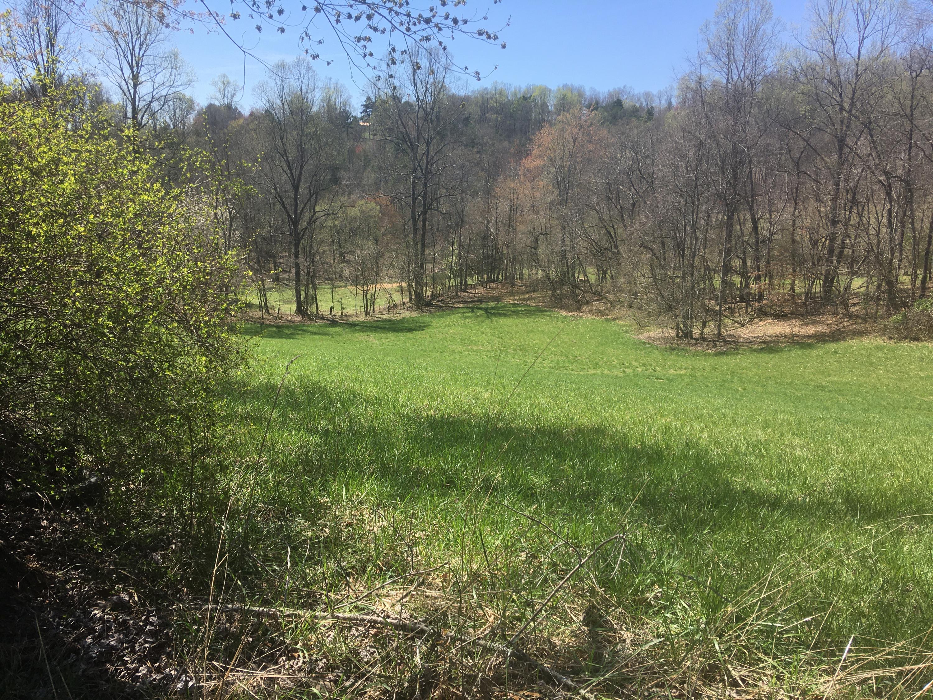 6311 Hopewell Road Harrogate, TN 37752 - Photo 5 of 7 07D67A44-ECDE-43E2-9422-1E2A1074B919