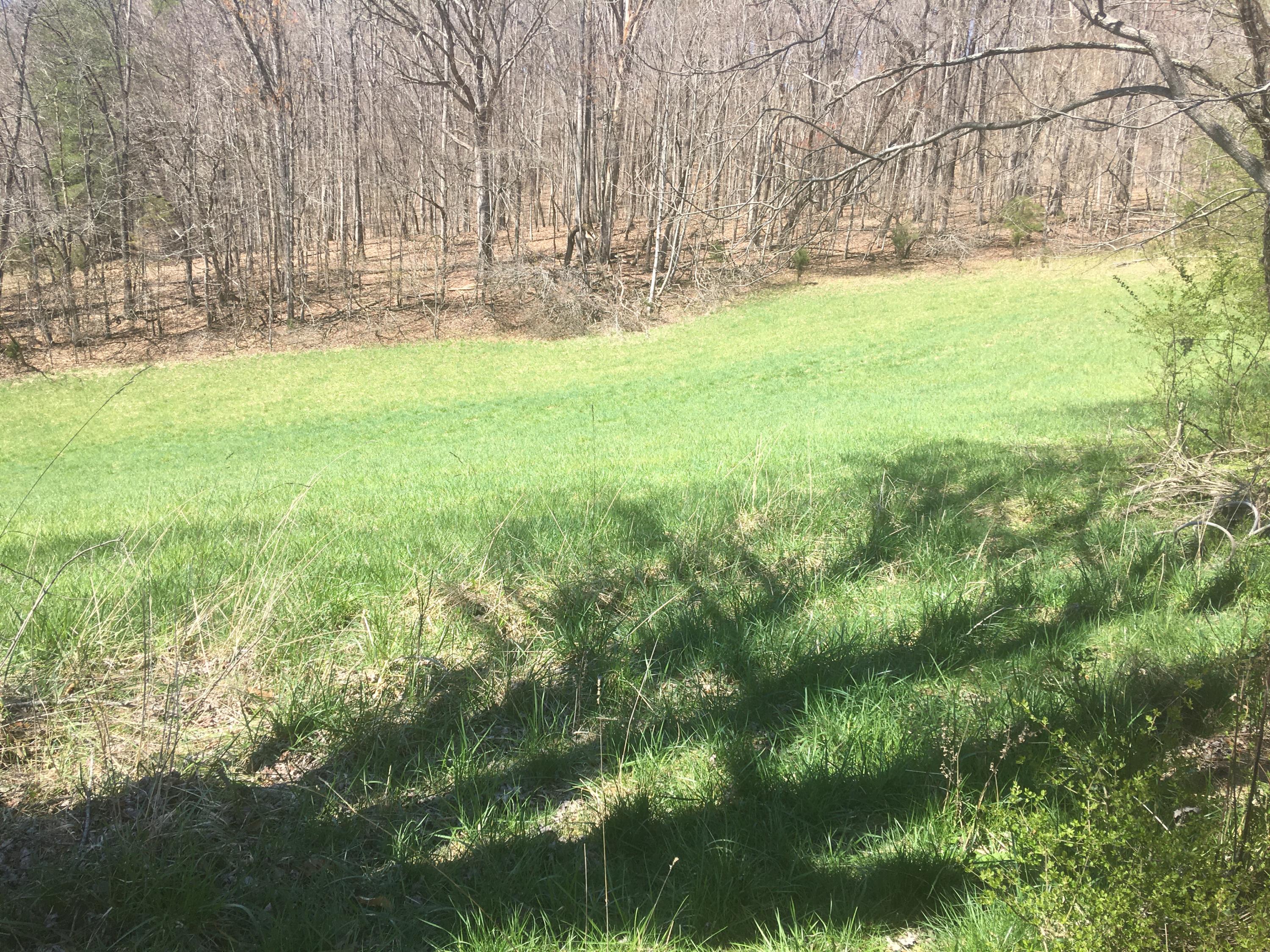 6311 Hopewell Road Harrogate, TN 37752 - Photo 6 of 7 76E8FBBC-48CD-45AA-93A2-2DF2F45A85C7