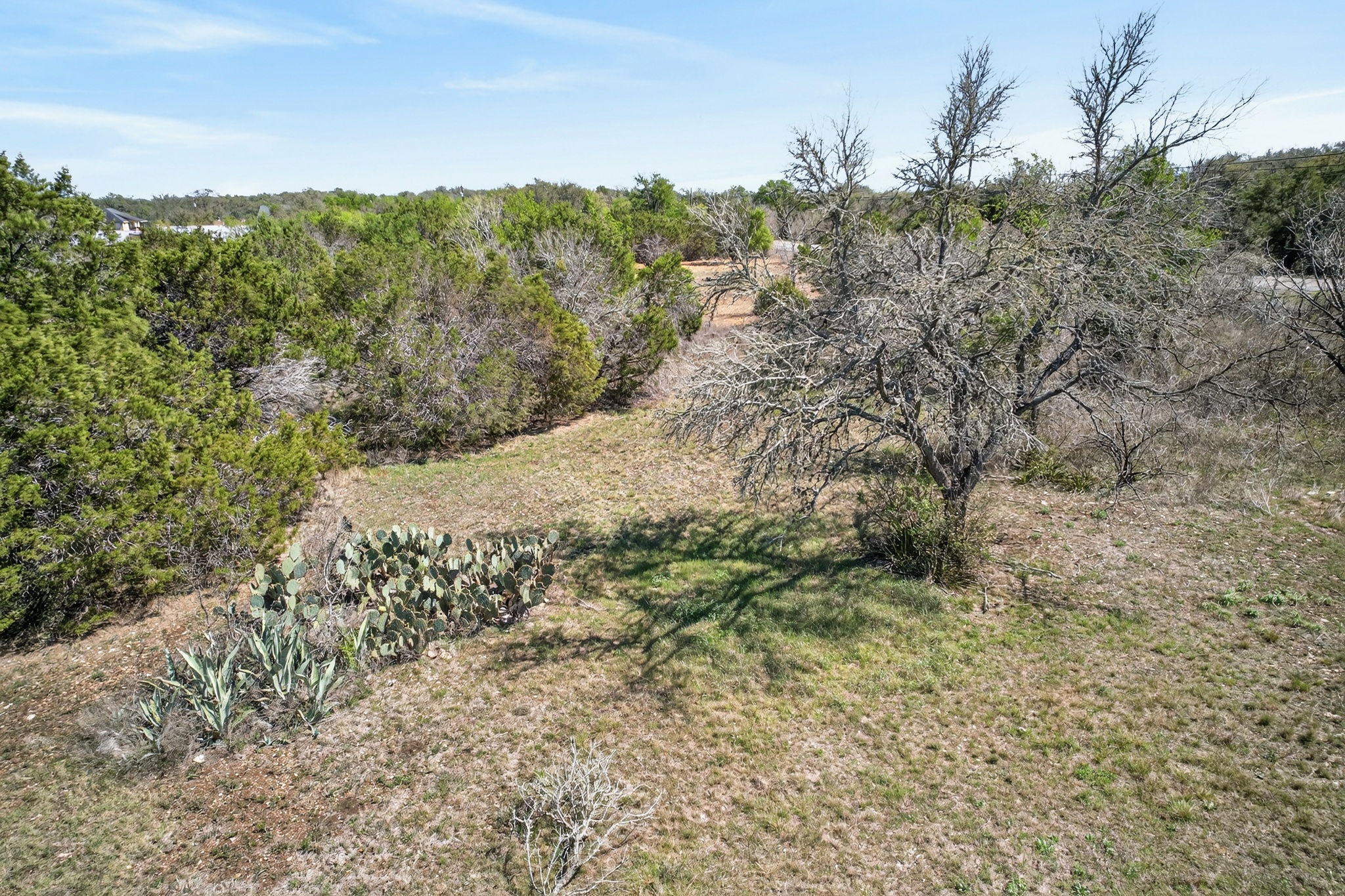 Tbd Tbd Rr-150 Kyle, TX 78640 - Photo 11 of 15