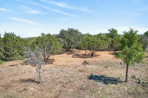 a view of a yard with trees in the background