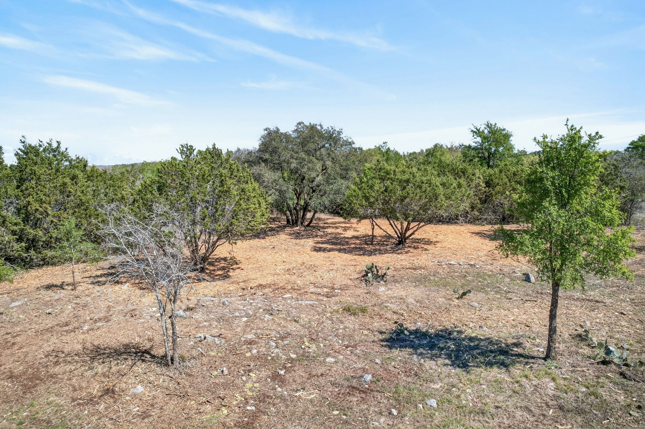 Tbd Tbd Rr-150 Kyle, TX 78640 - Photo 8 of 15