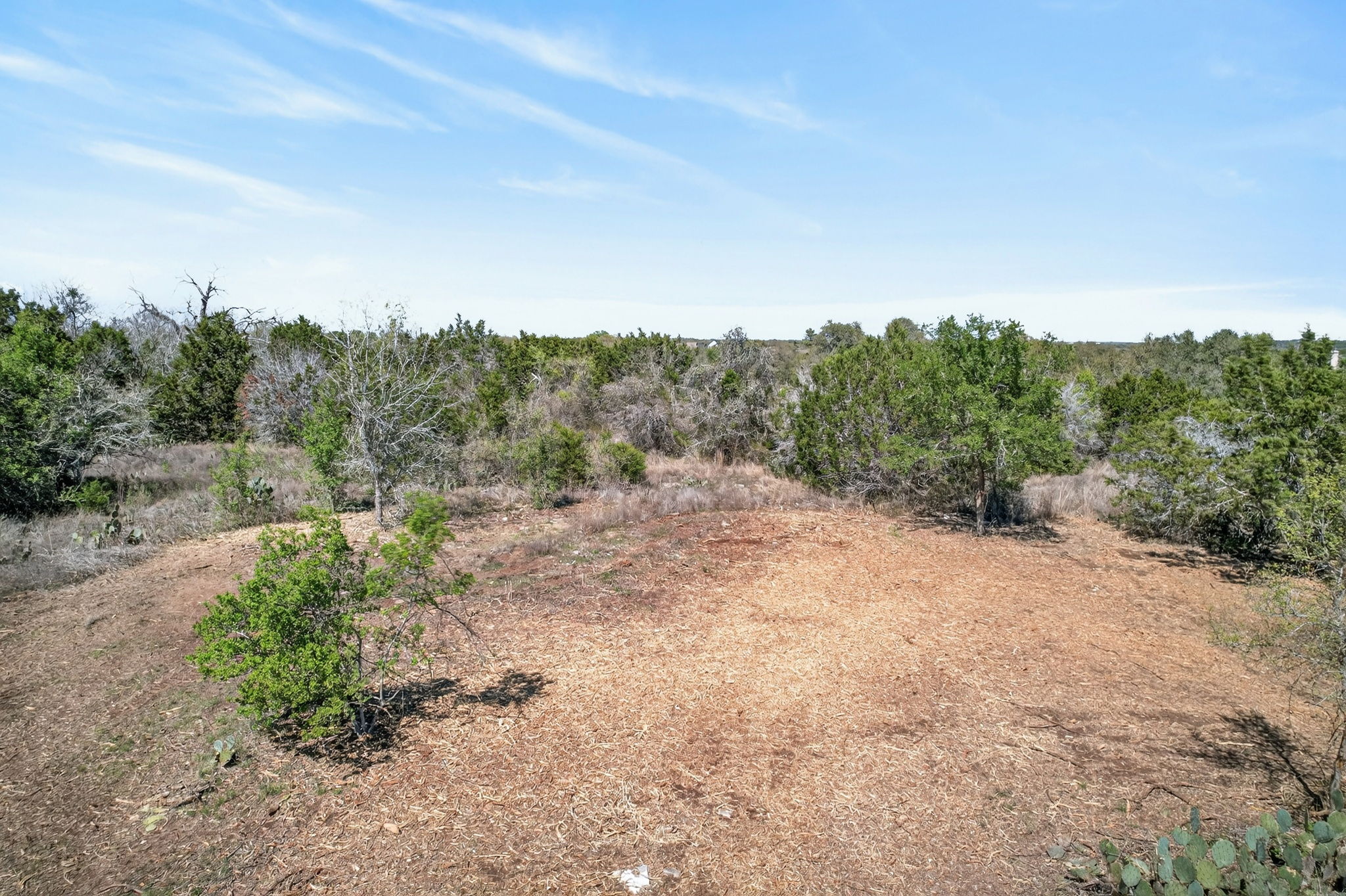 Tbd Tbd Rr-150 Kyle, TX 78640 - Photo 9 of 15
