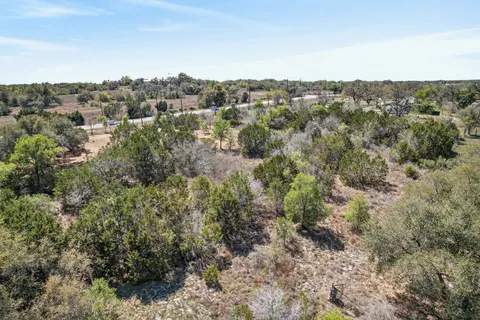 a view of a forest with trees in the background