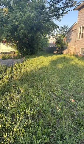 a view of yard with large tree