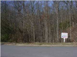 0 Spring Valley Lane, Unit 106 Ringgold, GA 30736 - Photo 1 of 4 Primary Photo