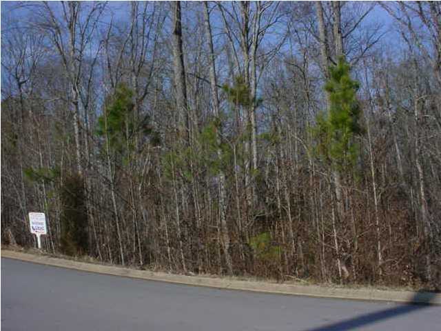 0 Spring Valley Lane, Unit 106 Ringgold, GA 30736 - Photo 2 of 4 Additional Photo