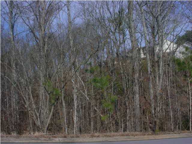 0 Spring Valley Lane, Unit 106 Ringgold, GA 30736 - Photo 3 of 4 Additional Photo