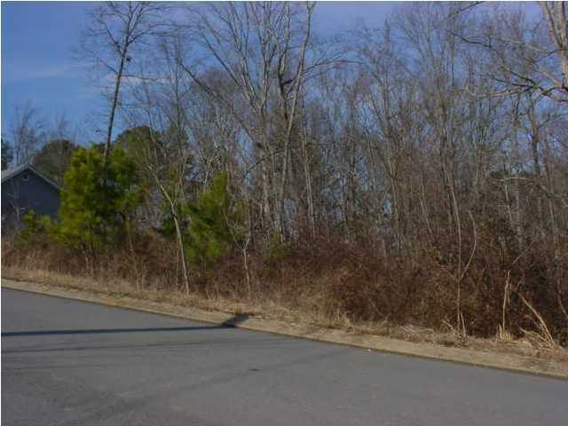 0 Spring Valley Lane, Unit 106 Ringgold, GA 30736 - Photo 4 of 4 Additional Photo