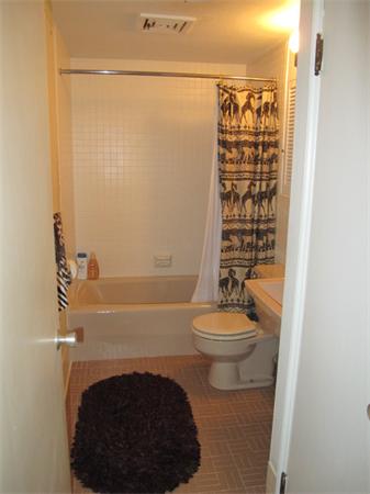23 Patterson Road Lexington, MA 02421 - Photo 14 of 22 a bathroom with a toilet and a shower