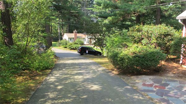 23 Patterson Road Lexington, MA 02421 - Photo 18 of 22 a view of a yard with plants and large trees