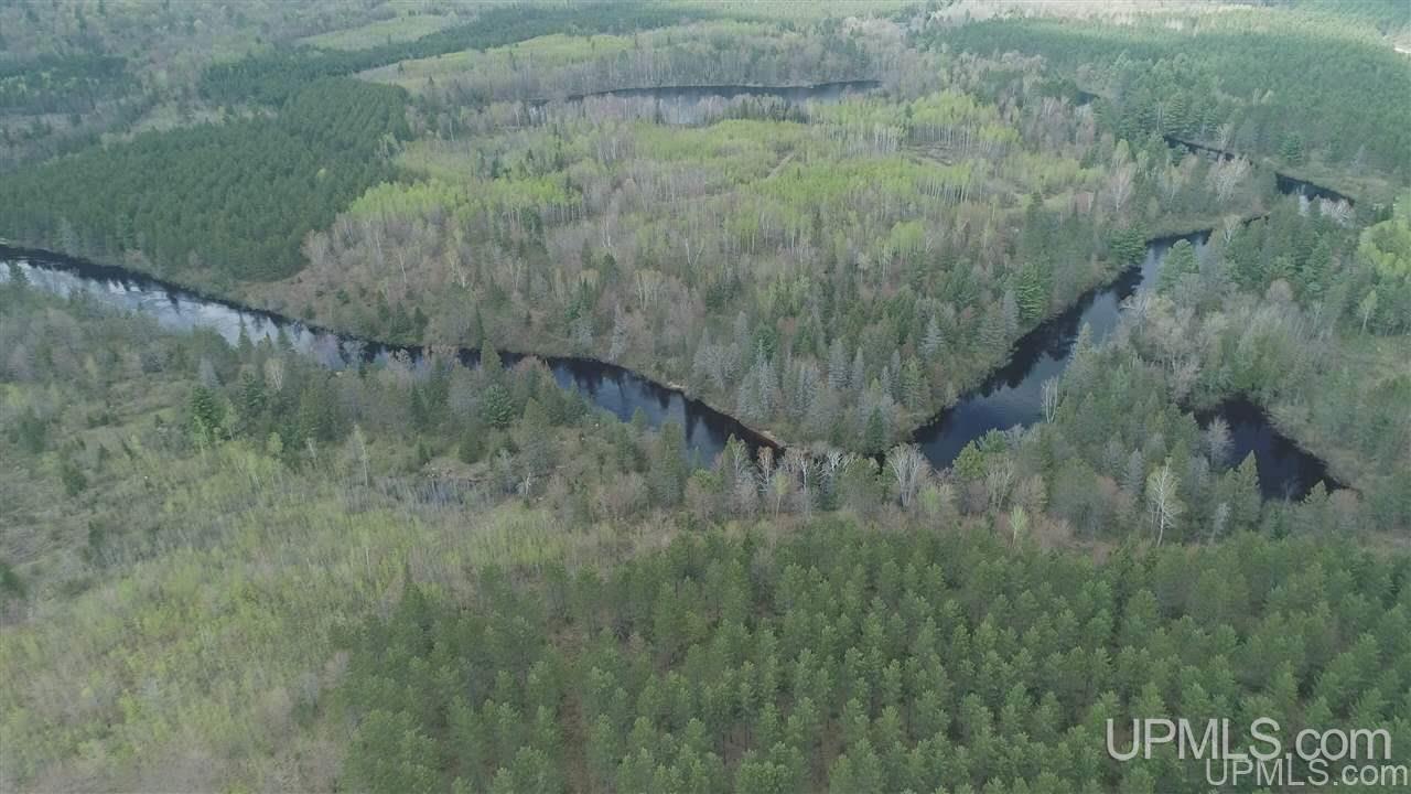 47-acres Chain Of Lakes Road Republic, MI 49879 - Photo 6 of 29