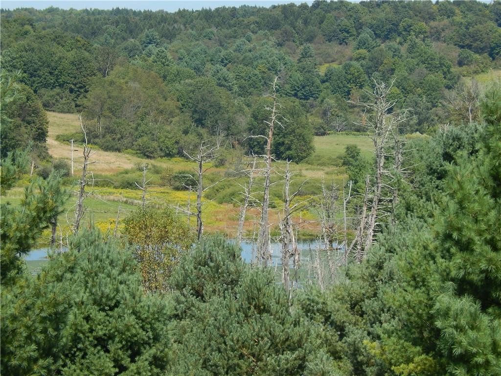 172 Hawks Road Pittsfield, NY 13411 - Photo 43 of 45 wetlands pond