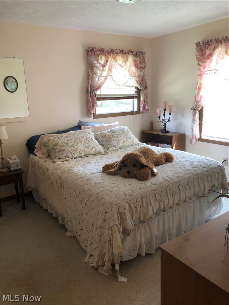 6711 Ballash Road Medina, OH 44256 - Photo 15 of 23 Another spacious, light filled bedroom