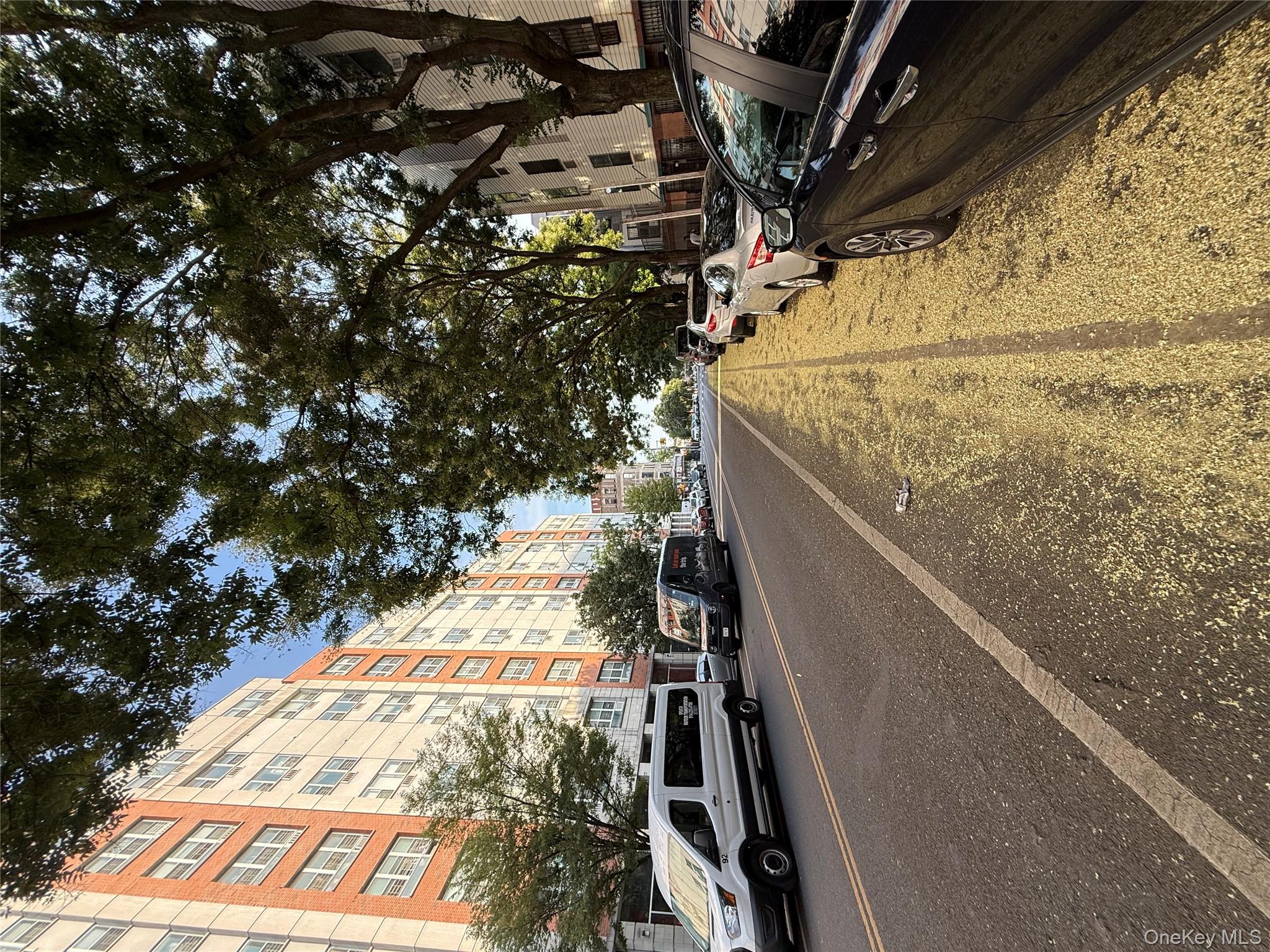 769 St Ann's Avenue, Unit B Bronx, NY 10456 - Photo 22 of 48 a view of a street with cars