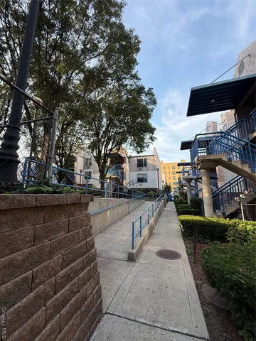 a view of a yard with plants and a large tree