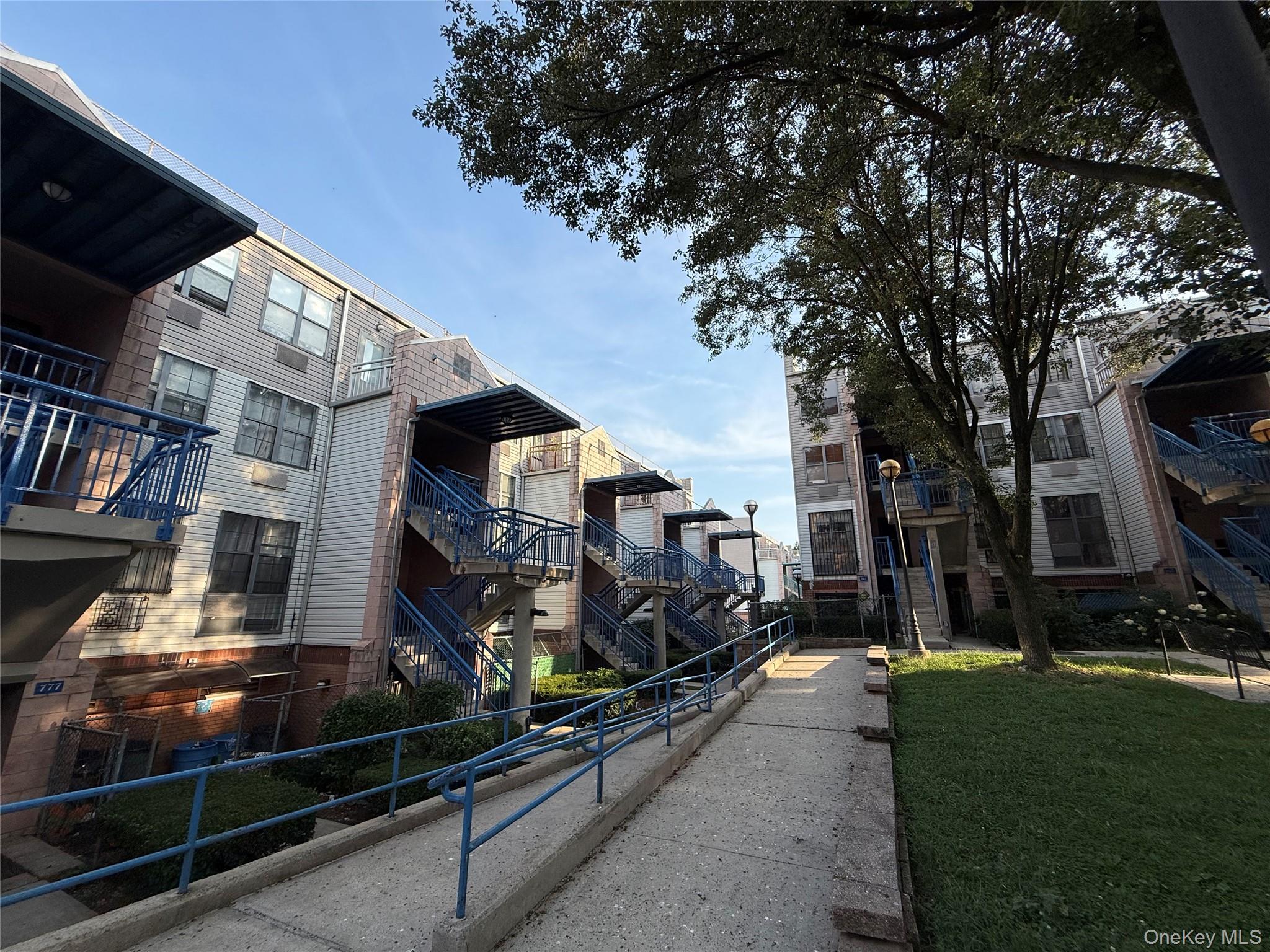 769 St Ann's Avenue, Unit B Bronx, NY 10456 - Photo 29 of 48 a view of a house with a large tree